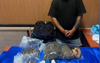 Polda Bali Ungkap Peredaran Ganja 1,6 Kg dan Sabu 102
