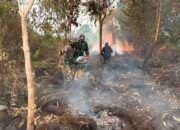 Gerak Cepat Tim Gabungan dan Kodim 1016/Plk Berhasil Padamkan Karhutla di Yos Sudarso Ujung