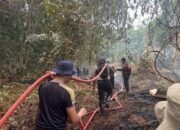 Gerak Cepat, Polres Murung Raya dan Tim Satgas Karhutla Padamkan Api Karhutla Di Wilyah Desa Konut