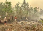 Respon Cepat Karhutla, Kapolres Barsel Padamkan Titik Api di Desa Madara
