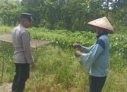 Polsek Basarang Dukung Ketahanan Pangan Untuk Program Makan Bergizi