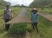 Polsek Basarang Dukung Ketahanan Pangan Untuk Program Makan Bergizi