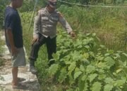 Polsek Basarang Dukung Ketahanan Pangan Untuk Program Makan Bergizi