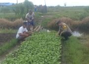 Polsek Basarang Dukung Ketahanan Pangan Untuk Program Makan Bergizi