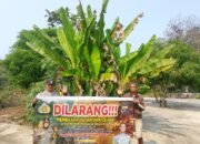 Cegah Terjadinya Karhutla, Anggota Polsek Basarang Lakukan Sosialisasi Secara Rutin