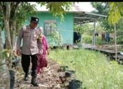 Polsek Kapuas Barat Dorong Pekarangan Produktif, Tanam Cabai Jadi Langkah Nyata Perkuat Ketahanan Pangan
