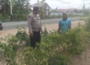 Polsek Basarang Dukung Ketahanan Pangan Untuk Program Makan Bergizi