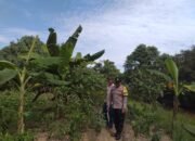 Polsek Kapuas Barat Dorong Pekarangan Produktif, Dukung Ketahanan Pangan dari Lingkungan Warga