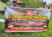 SOSIALISASI PENEBANGAN HUTAN SECARA LIAR (ILEGAL LOGING) OLEH PERSONIL POLSEK PULAU PETAK