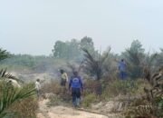CEGAH API MELUAS, TIM SIAGA KARHUTLA DANAU SEMBULUH TANGANI TITIK API