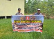 SOSIALISASI PENEBANGAN HUTAN SECARA LIAR (ILEGAL LOGING) OLEH PERSONIL POLSEK PULAU PETAK