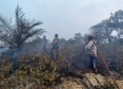 HOTSPOT TERDETEKSI DI TERAWAN, POLSEK DANAU SEMBULUH BERSAMA TIM GABUNGAN LANGSUNG TURUN TANGAN
