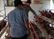 POLSEK KAPUAS BARAT CEK KETAHANAN PANGAN SEKTOR PETERNAKAN DI DESA SEI PITUNG