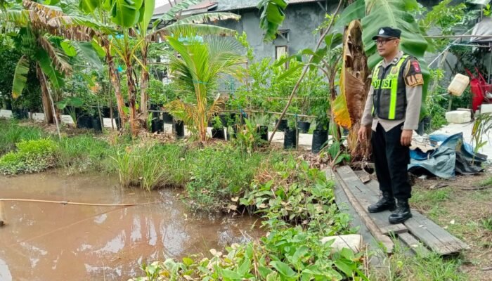 Bhabinkamtibmas Polsek Kapuas Barat Mendukung Masyarakat Dalam Meningkatkan Ketahanan Pangan Bidang Perikanan Di Kelurahan Mandomai