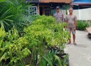POLSEK KAPUAS BARAT PANTAU KETAHANAN PANGAN SEKTOR PERTANIAN DI DESA PENDA KETAPI