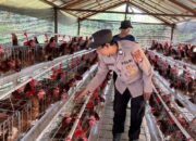 Dari Pekarangan Warga Jadi Sumber Pangan, Polsek Kapuas Barat Cek Peternakan di Desa Pantai