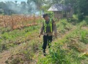Polsek Kapuas Barat Tinjau Pekarangan Pangan Bergizi Warga Desa Saka Mangkahai Dukung Ketahanan Pangan