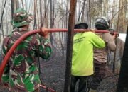 KEBAKARAN LAHAN DI MOGOH JOUI, SATGAS KARHUTLA SERUYAN HULU LAKUKAN PEMADAMAN
