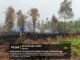 SATGAS KARHUTLA PADAMKAN SISA API DI PEMBUANG HULU II, SATU HEKTARE LAHAN TERBAKAR